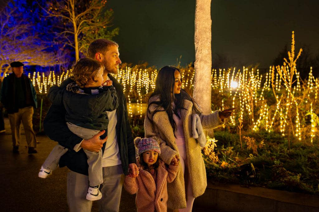 Enlighten At Frederik Meijer Gardens Michigan enlighten-at-frederik-meijer-gardens-michigan