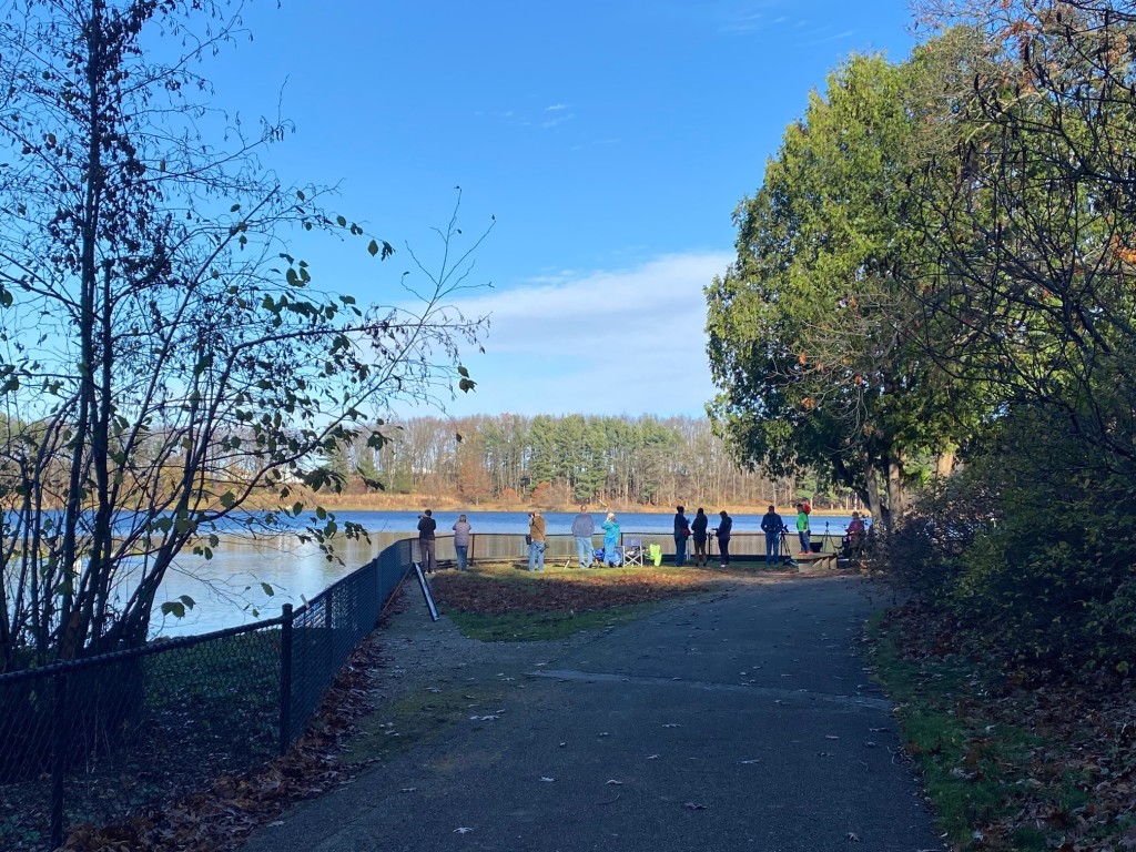 Fall Migration Celebration Free - Waterfowl Id Station2 350bd72f 9259 4674 9ead6eca1d3fd90b E49a60dc C60b 43f5 8f91ce47d3537a30 