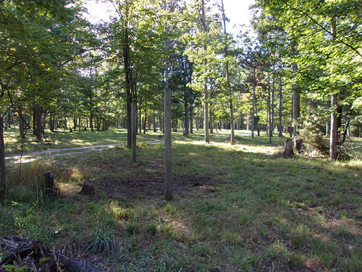 Lake Trail Camp Michigan