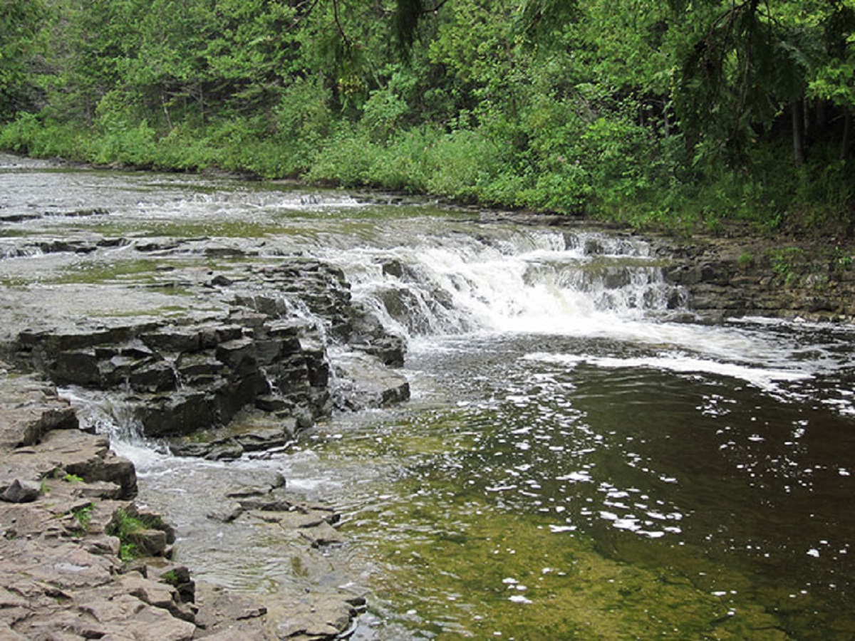 Ocqueoc Falls State Forest Campground Michigan