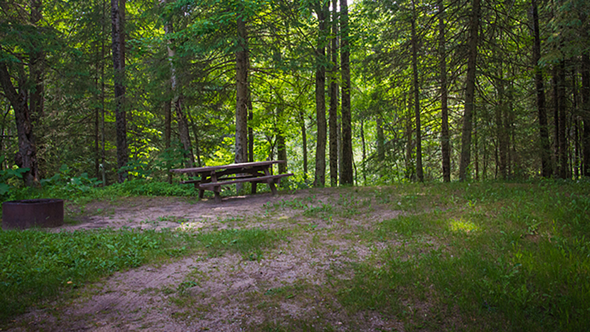 Black river state forest hiking online