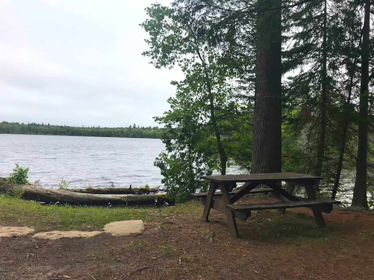 Escape To Serenity: Your Michigan Canoe Lake Campground Adventure Awaits!