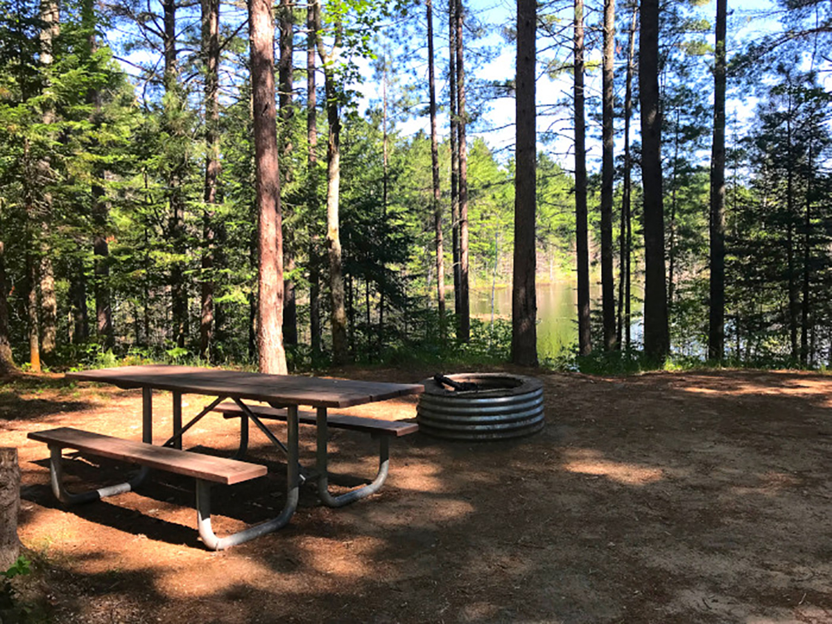 State forest best sale campgrounds near me
