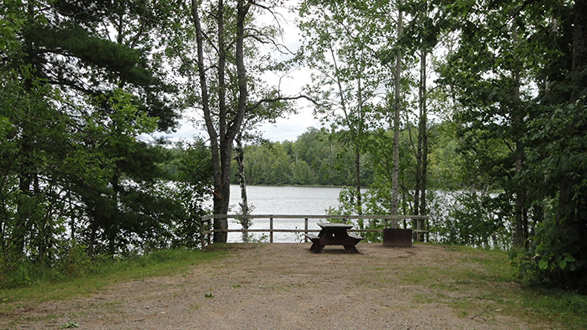 Carney Lake State Forest Campground Michigan