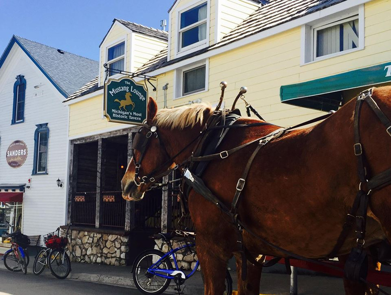 Mustang Lounge Michigan