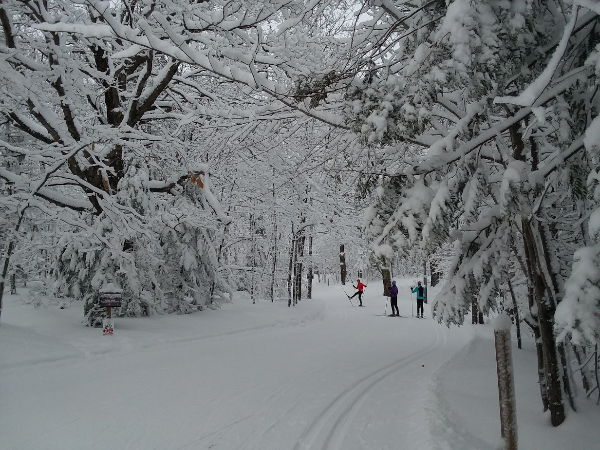 Swedetown Trails