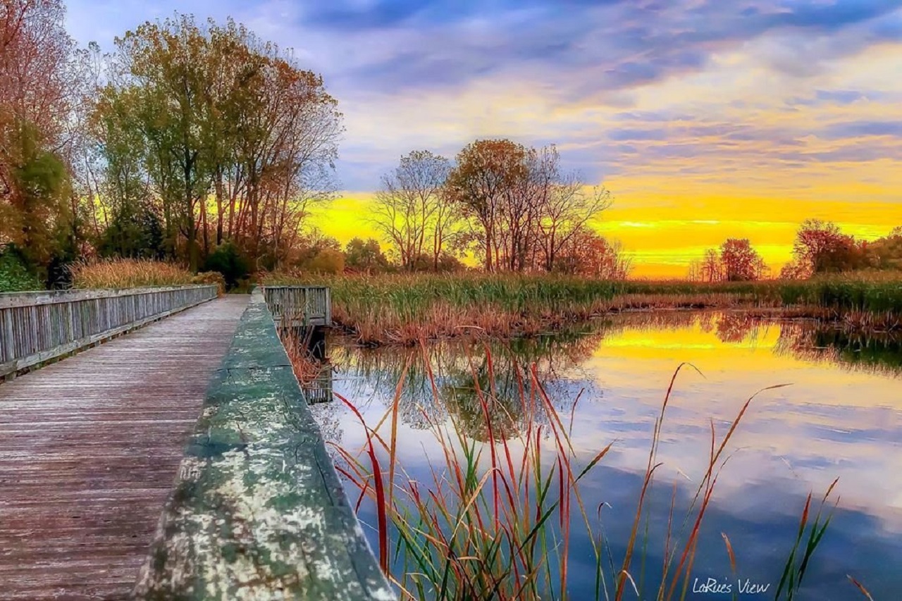 Lake Erie Metro Park, Brownstown, Michigan Golf course information