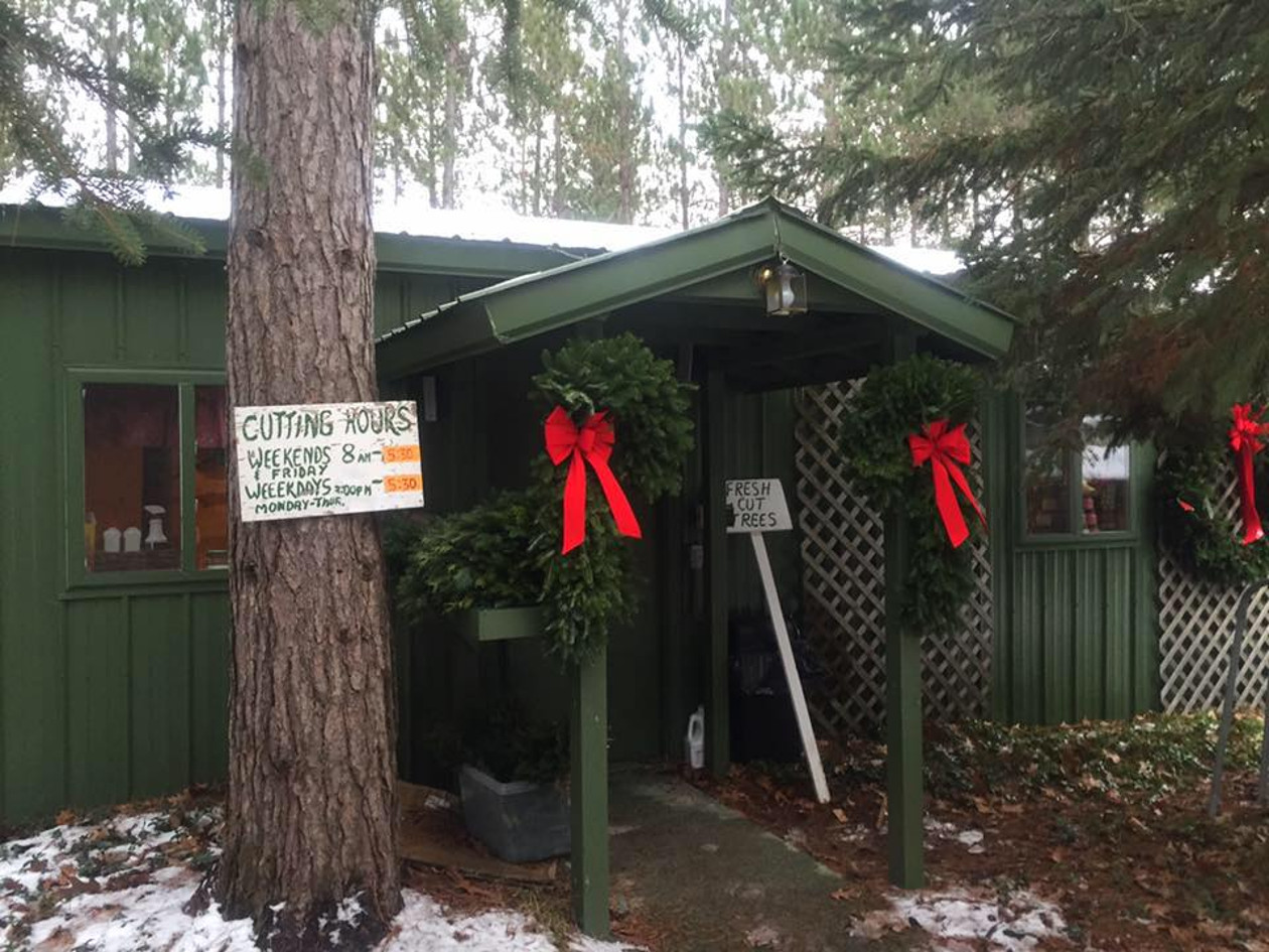 Martells Northwoods Christmas Tree Farm Michigan