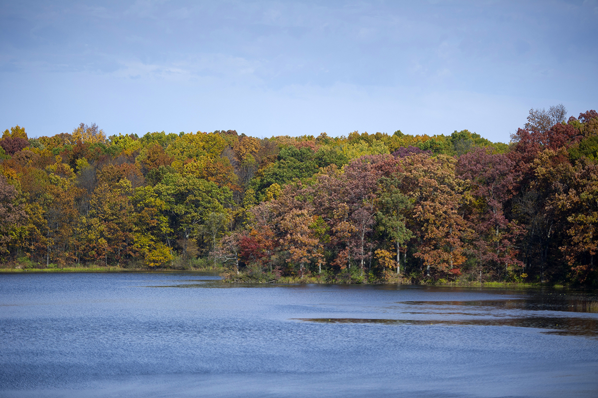 Holly Recreation Area | Michigan