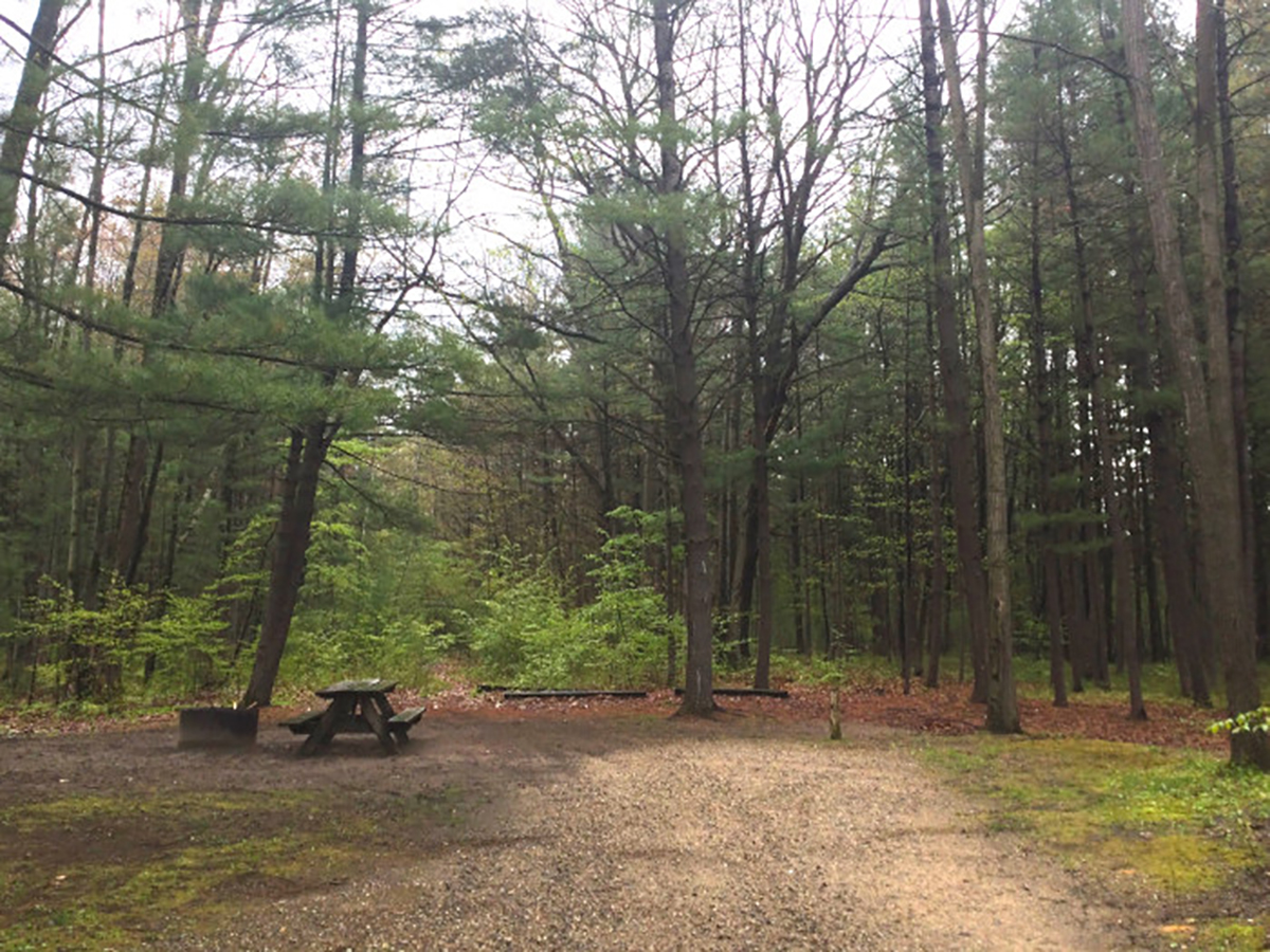Escape To Nature’s Embrace: Black Creek Campground, Michigan