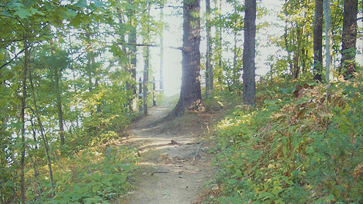 Escape to Newaygo State Park: Where Adventure Meets Tranquility