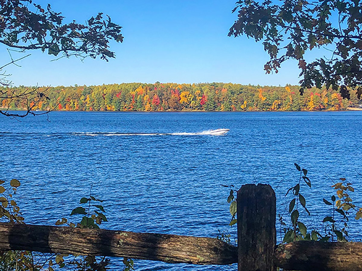 Escape to the Enchanting Woods: Unwind at Michigan's Newaygo State Park