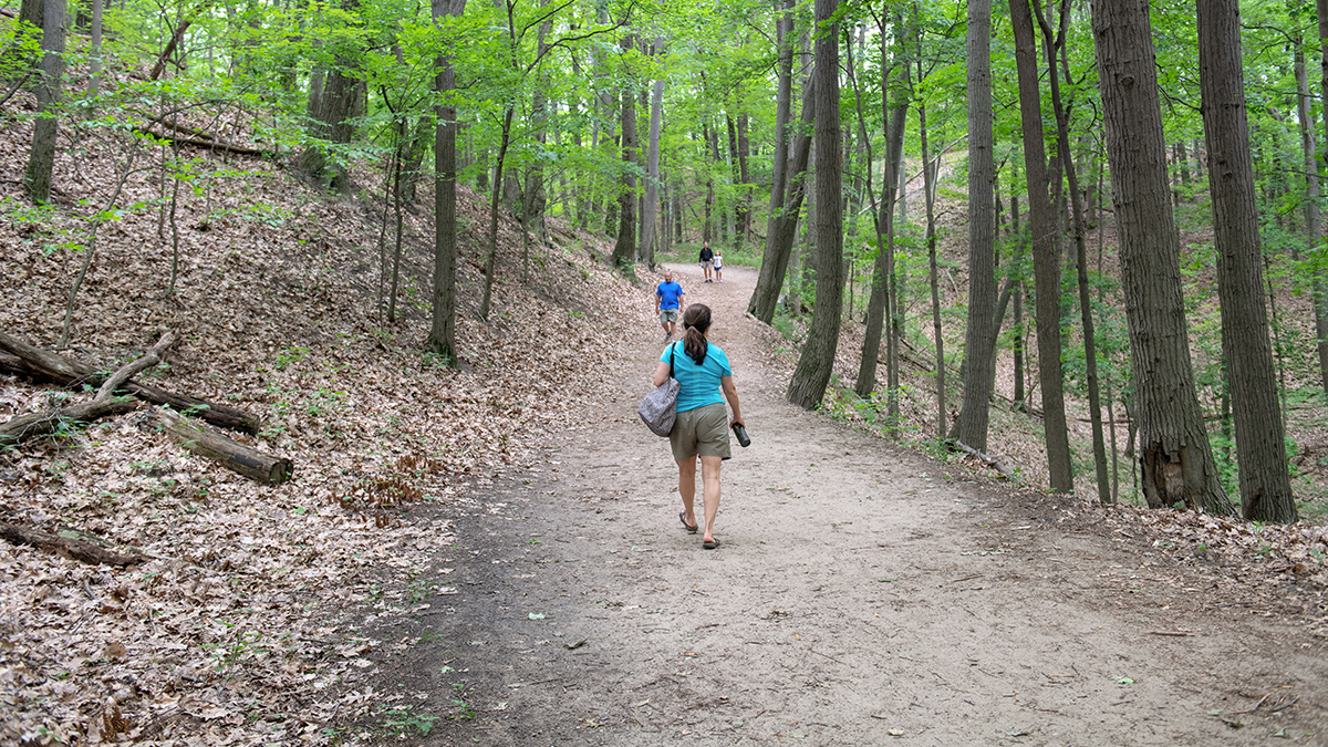 Saugatuck Dunes State Park | Michigan, image size:1200x675