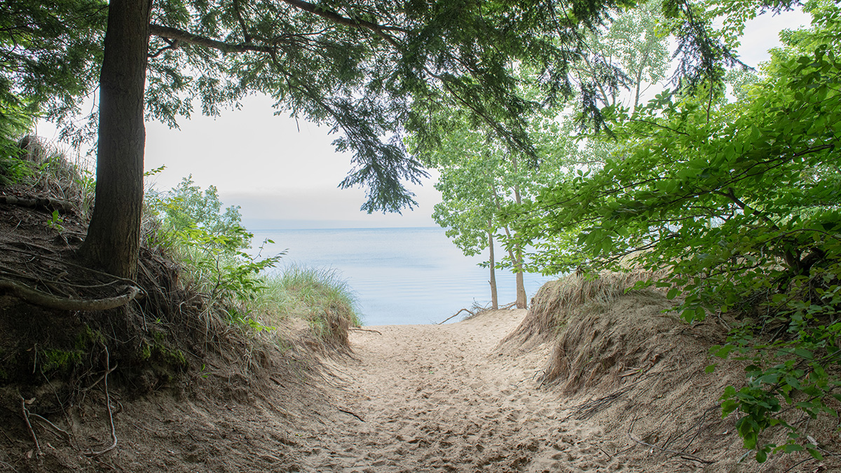 Are Dogs Allowed At Saugatuck Dunes State Park