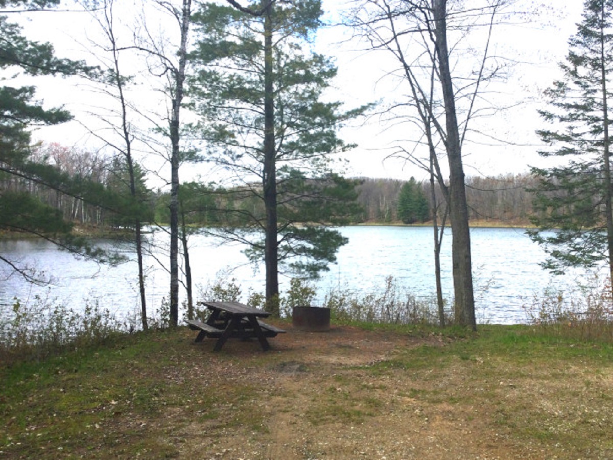Trout Lake State Forest Campground Michigan