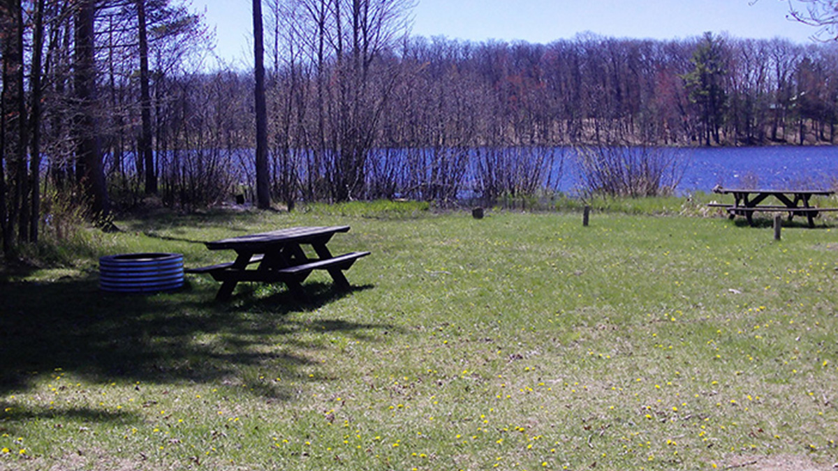 Goose Lake State Forest Campground Michigan