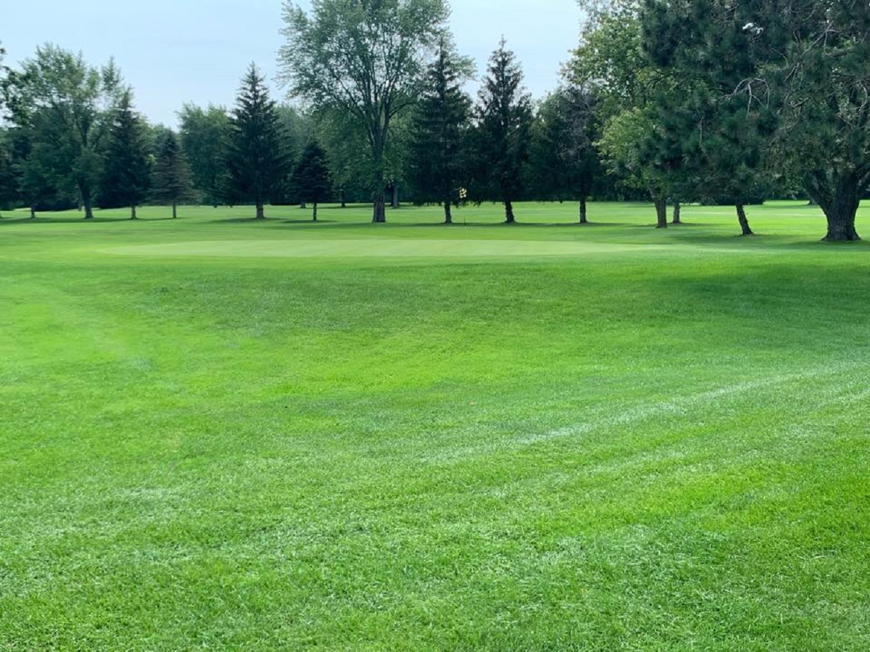 White Birch Hills Golf Course Michigan