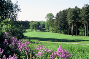 Timber Ridge Mi Timber Ridge Golf Club | Michigan
