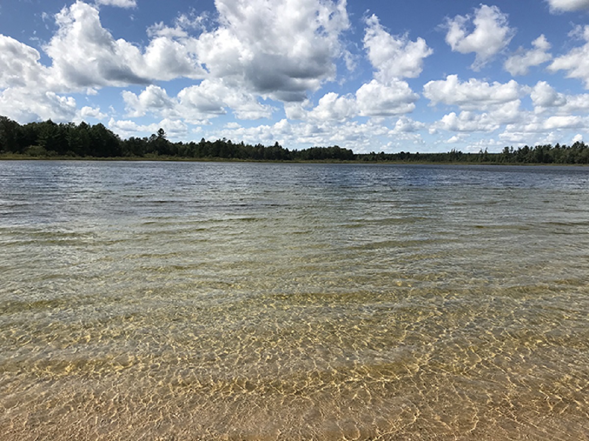 Jones Lake State Forest Campground Michigan