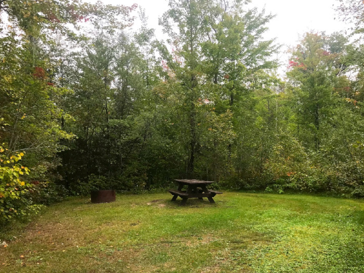 Mio Pond State Forest Campground Michigan