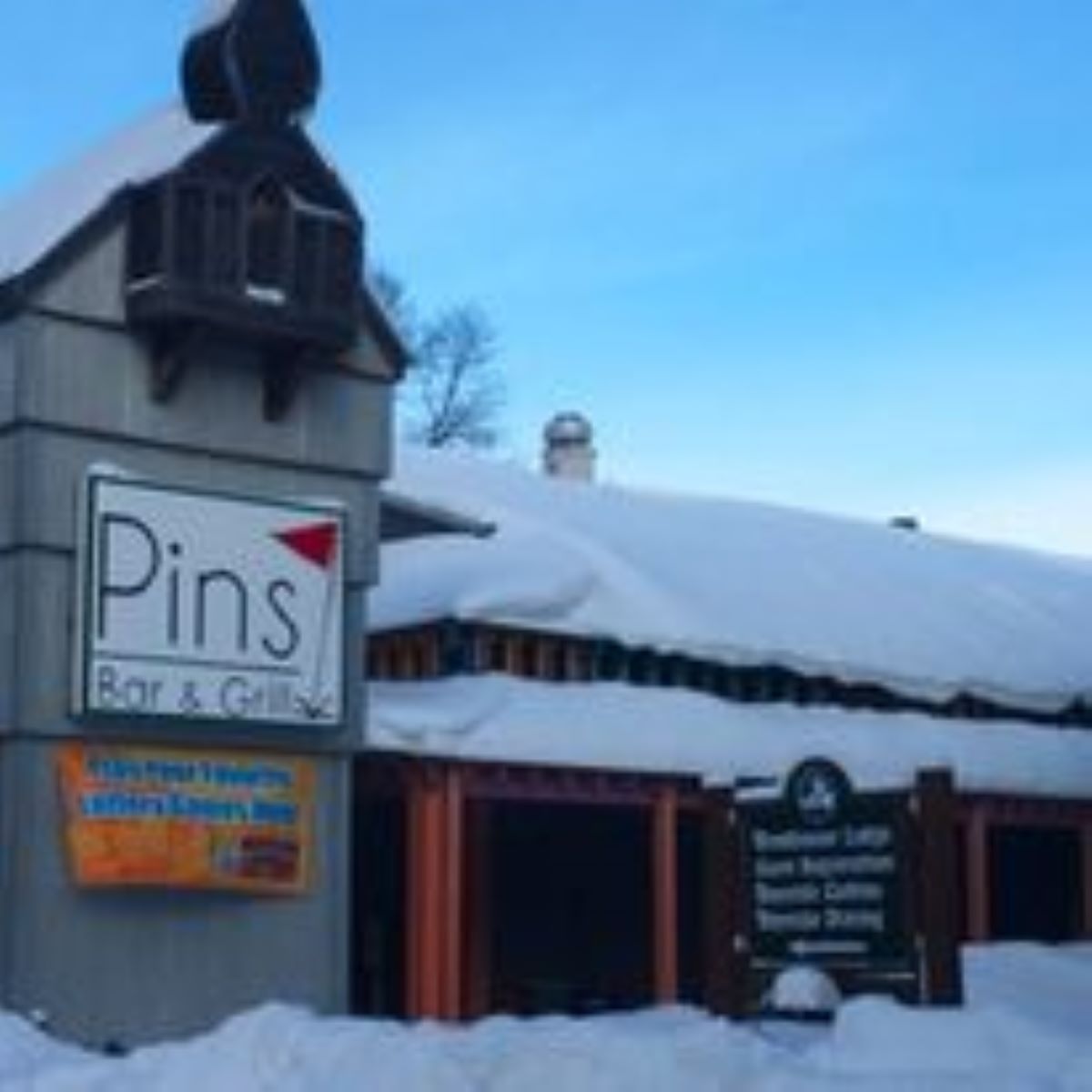 Pins Bar & Grill Michigan