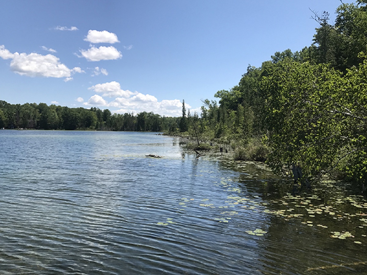 Twin Lakes State Forest Campground  Michigan