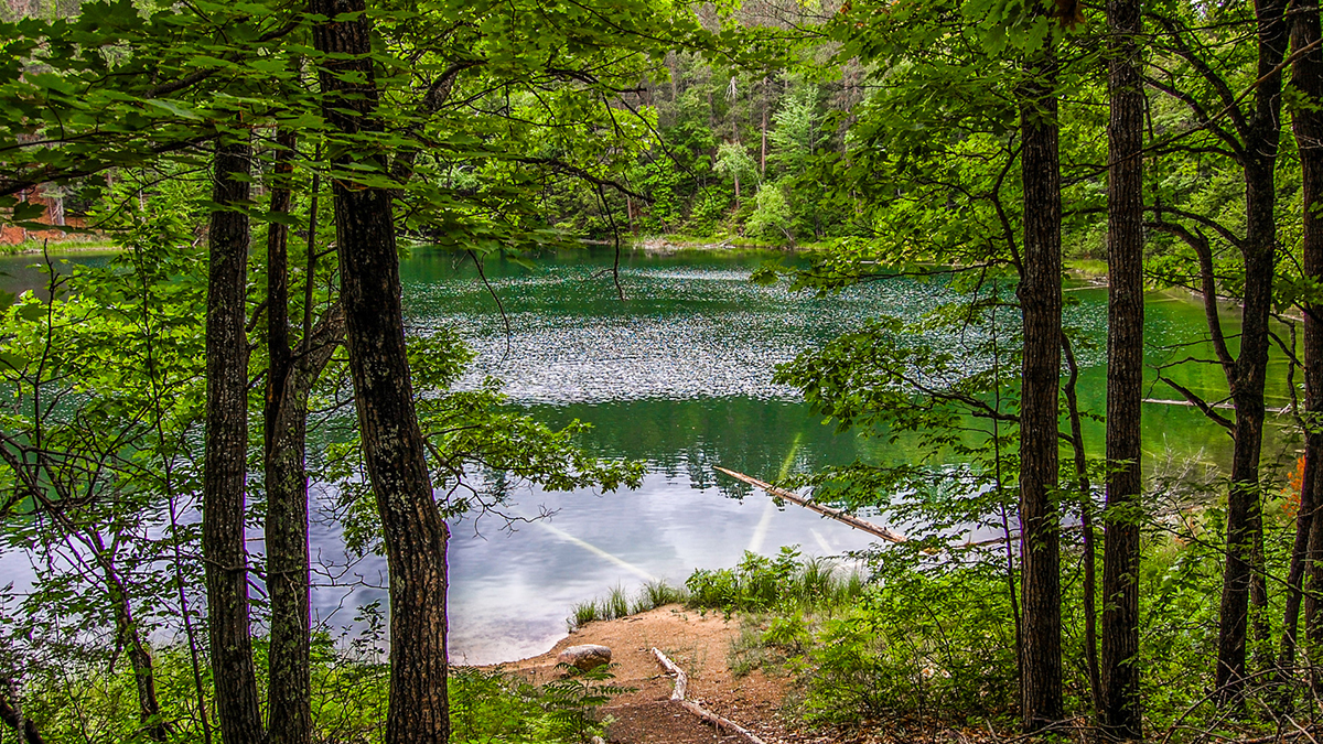 Pigeon River State Forest Campground Michigan