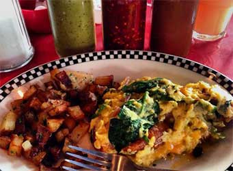 The Fly Trap | Michigan