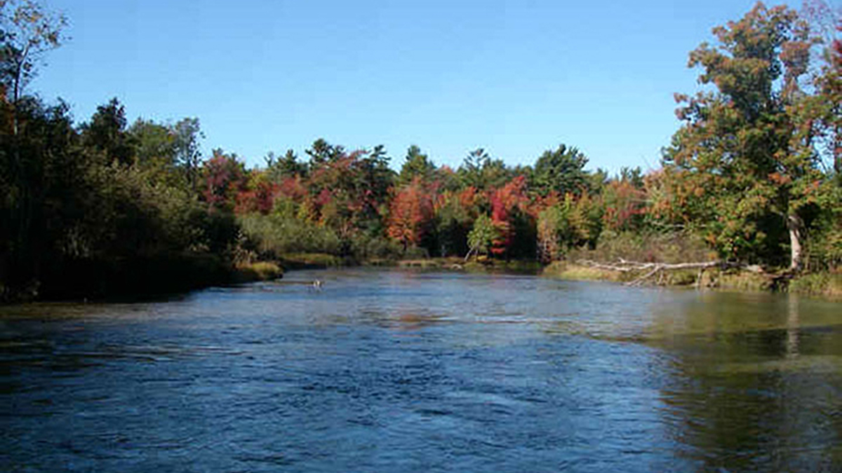 Tippy Dam Recreation Area Michigan