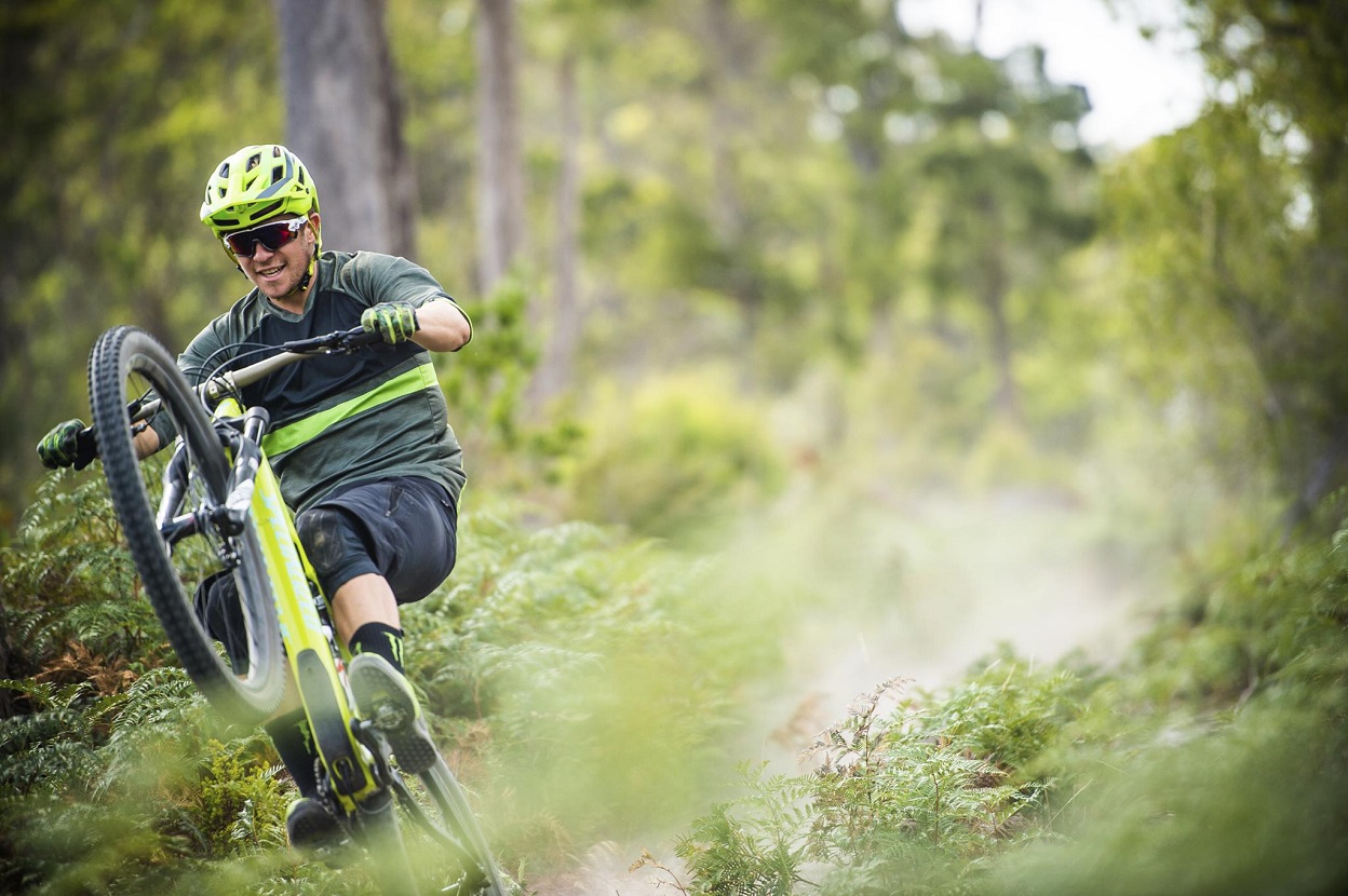 McLain Cycle Michigan