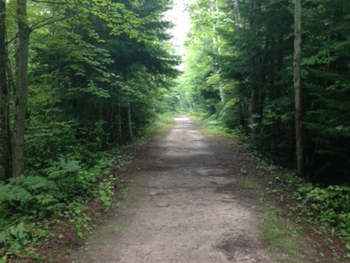 Algonquin Pathway Michigan