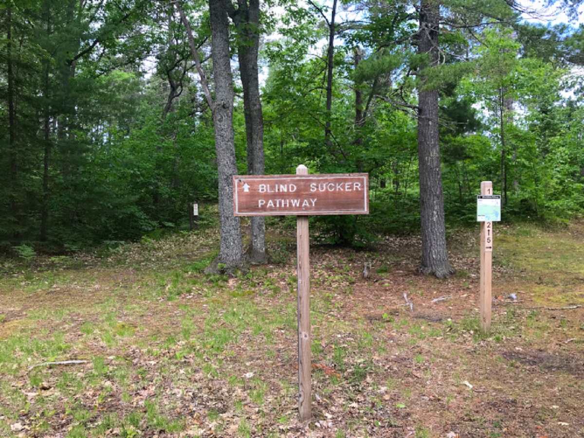 Blind Sucker Pathway Michigan