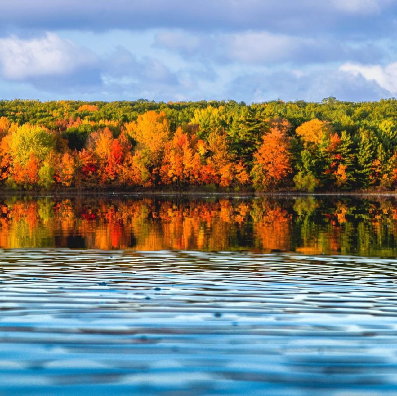 Pickerel Lake Pathway Michigan