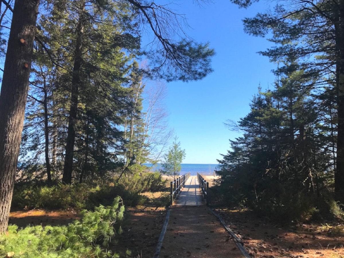 Ossineke Pathway Michigan