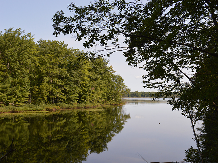 Lost Lake Pathway Michigan