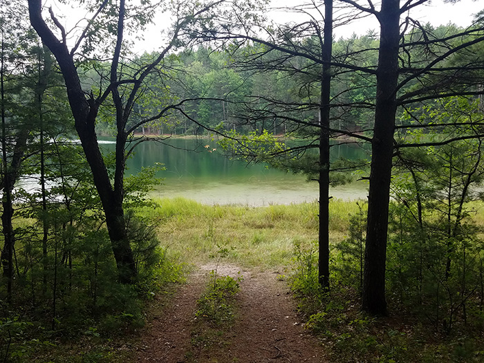 Sand Lakes Quiet Area Pathway Michigan