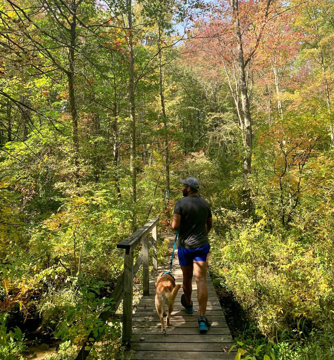 Escape to Yankee Springs: Your Michigan Adventure Awaits