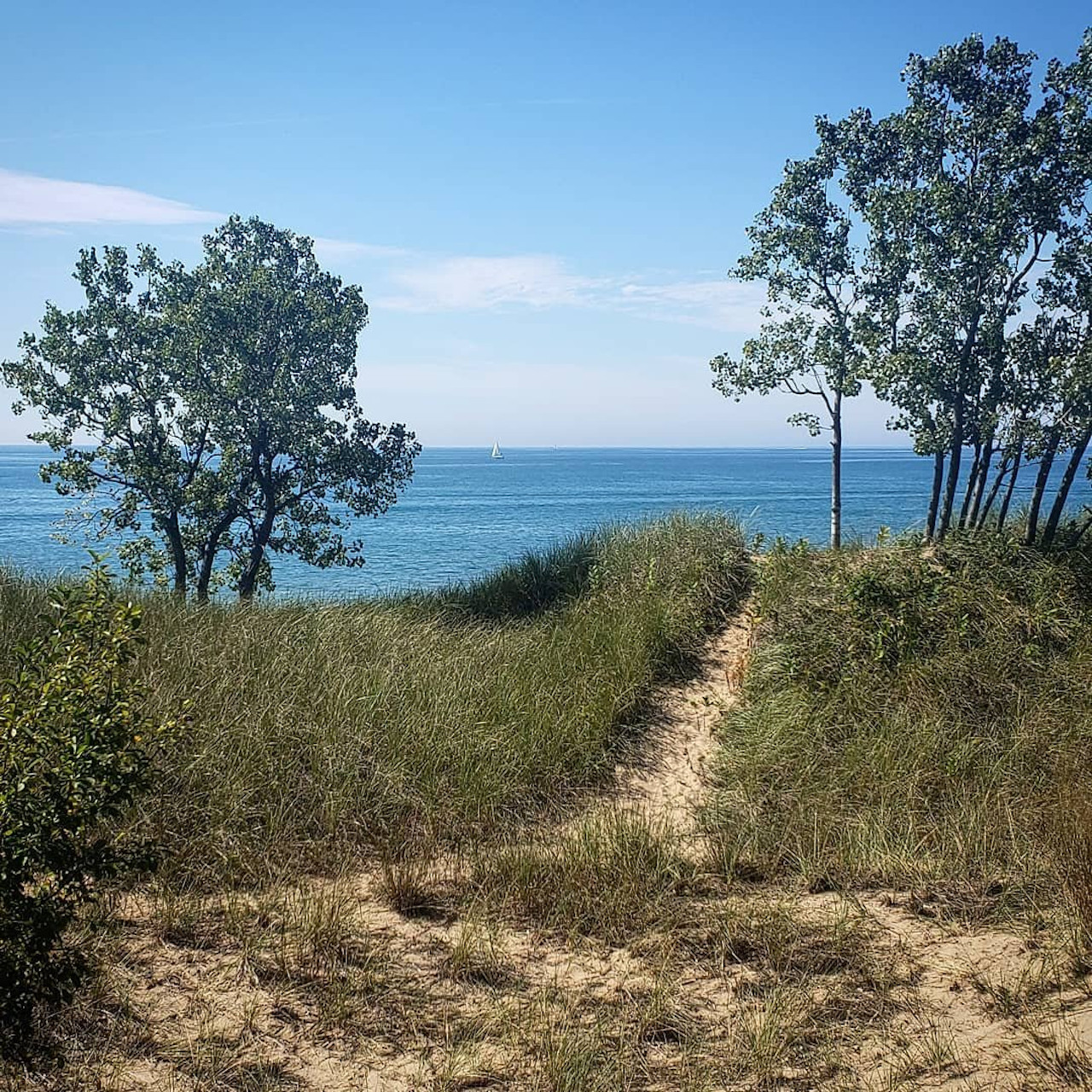 Saugatuck DunesBeach Trail (Yellow) Michigan