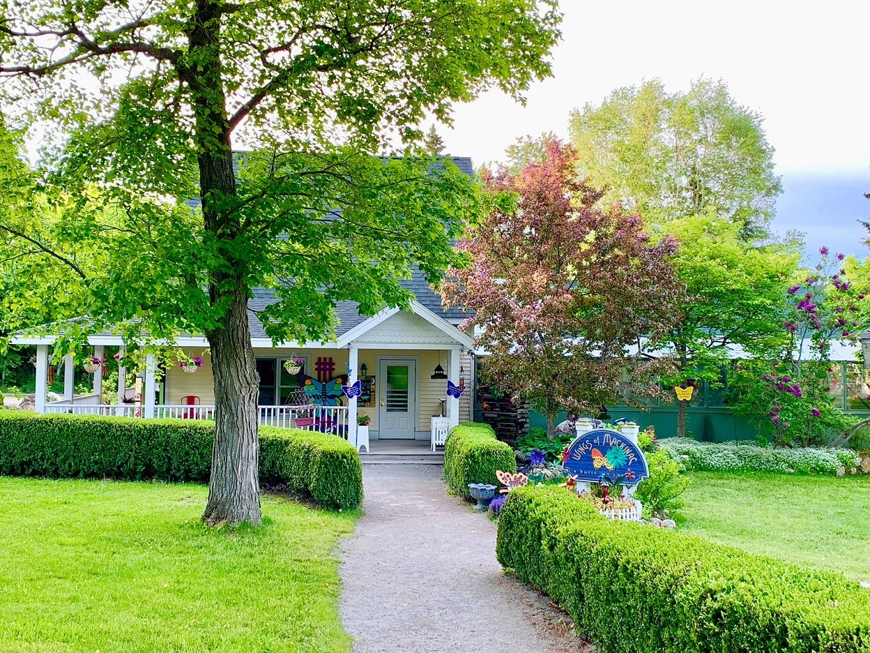 Wings of Mackinac Michigan