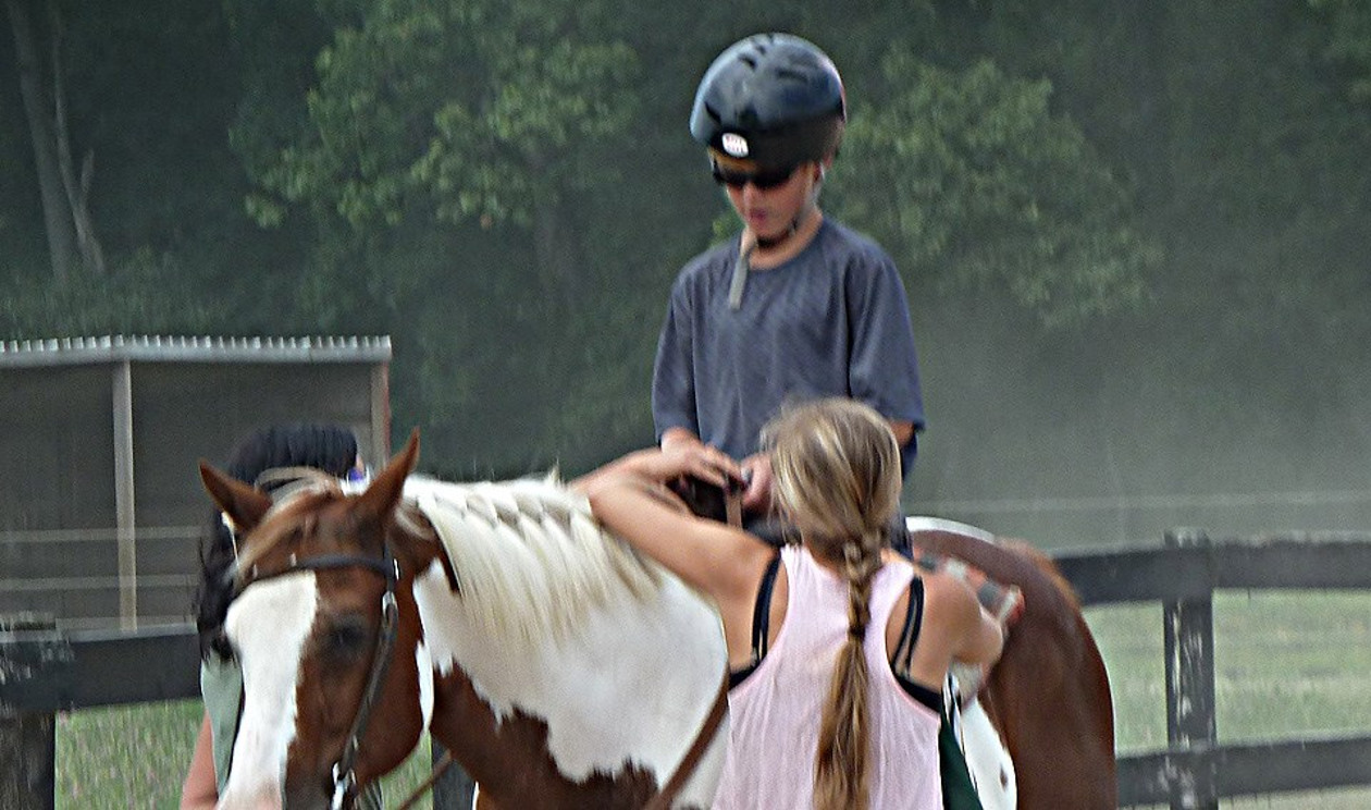 Bittersweet Pet Resort & Stables Michigan