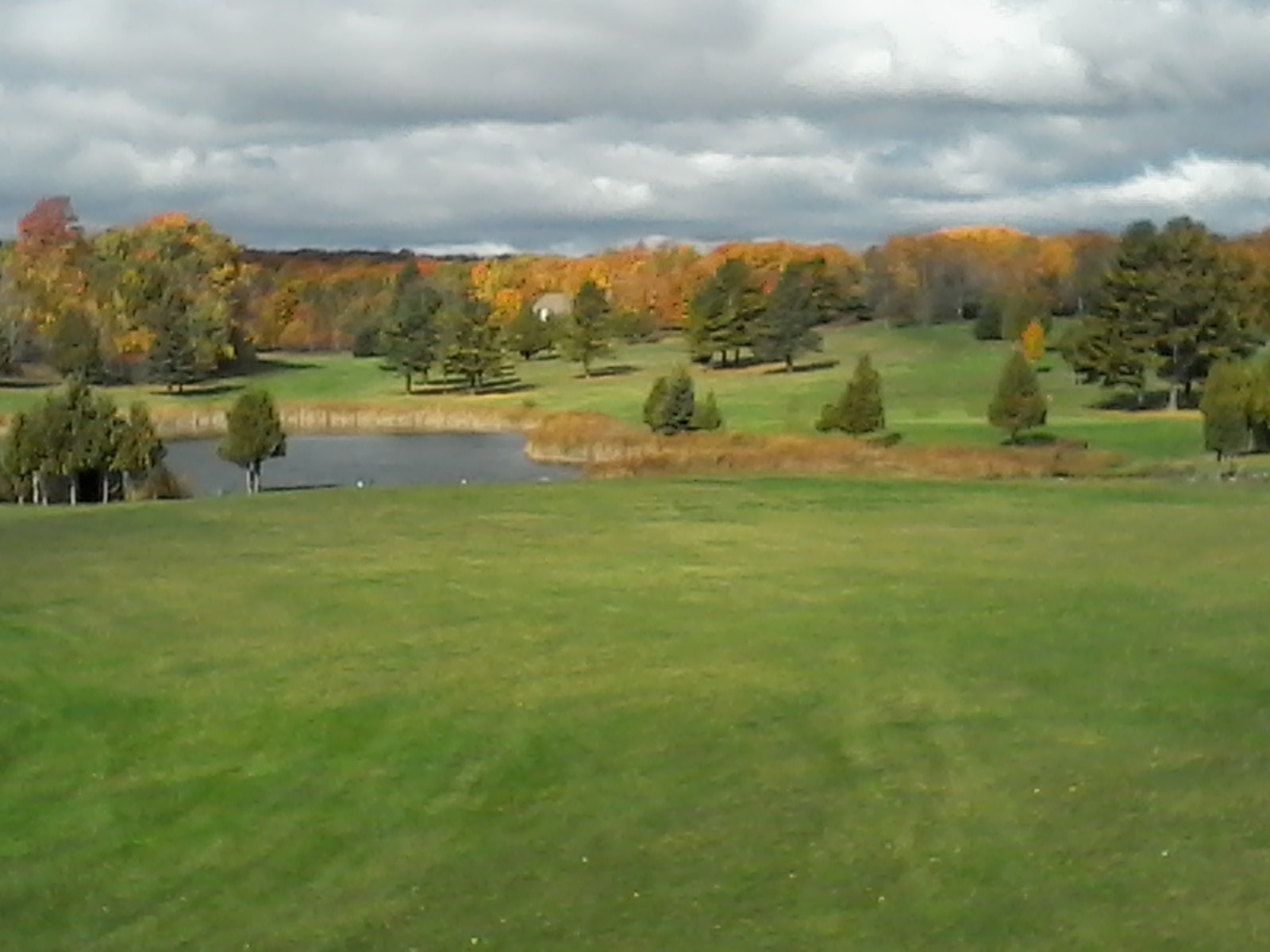 Garden Golf LLC Michigan