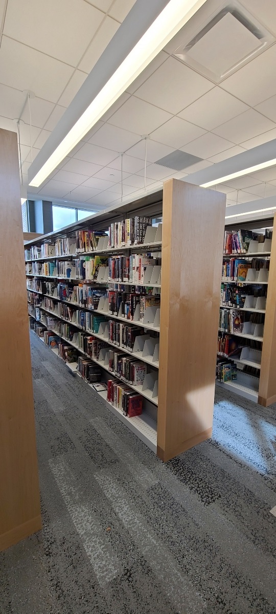 Public Library North Branch Michigan