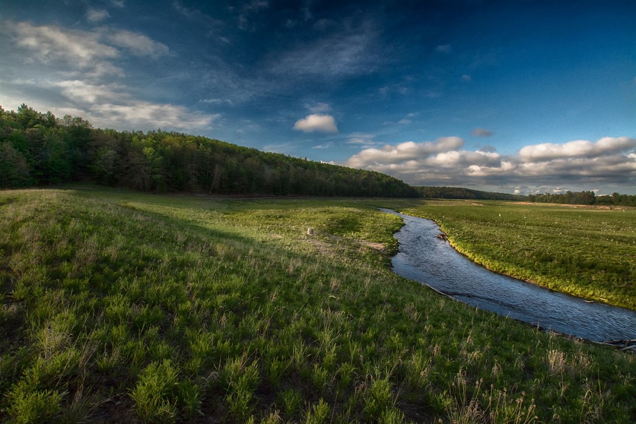 Boardman River Nature Center Michigan