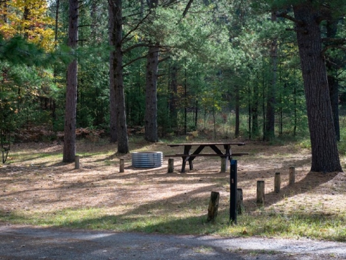 Pigeon Bridge State Forest Campground Michigan