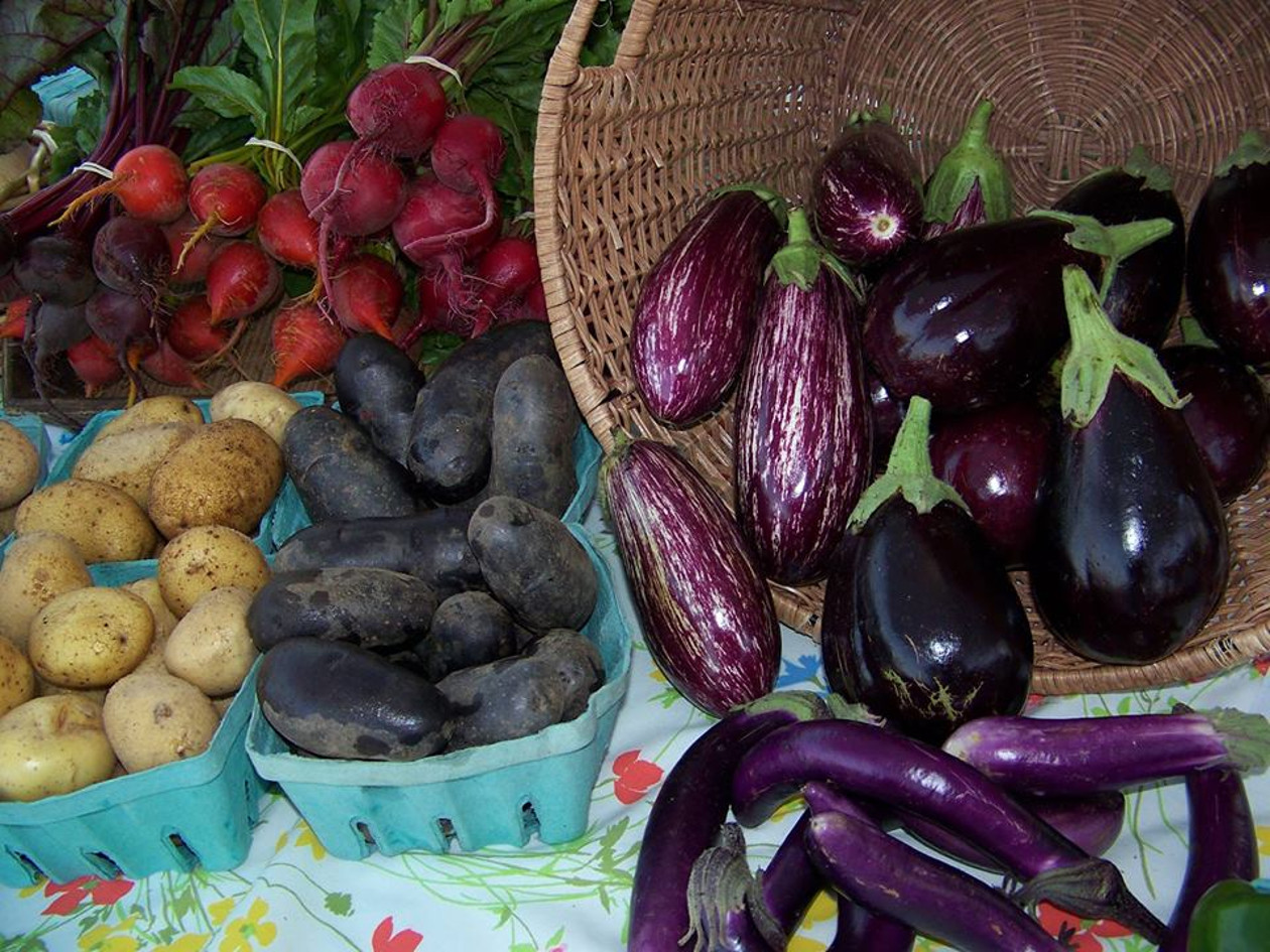 Elk Rapids Farmers Market | Michigan