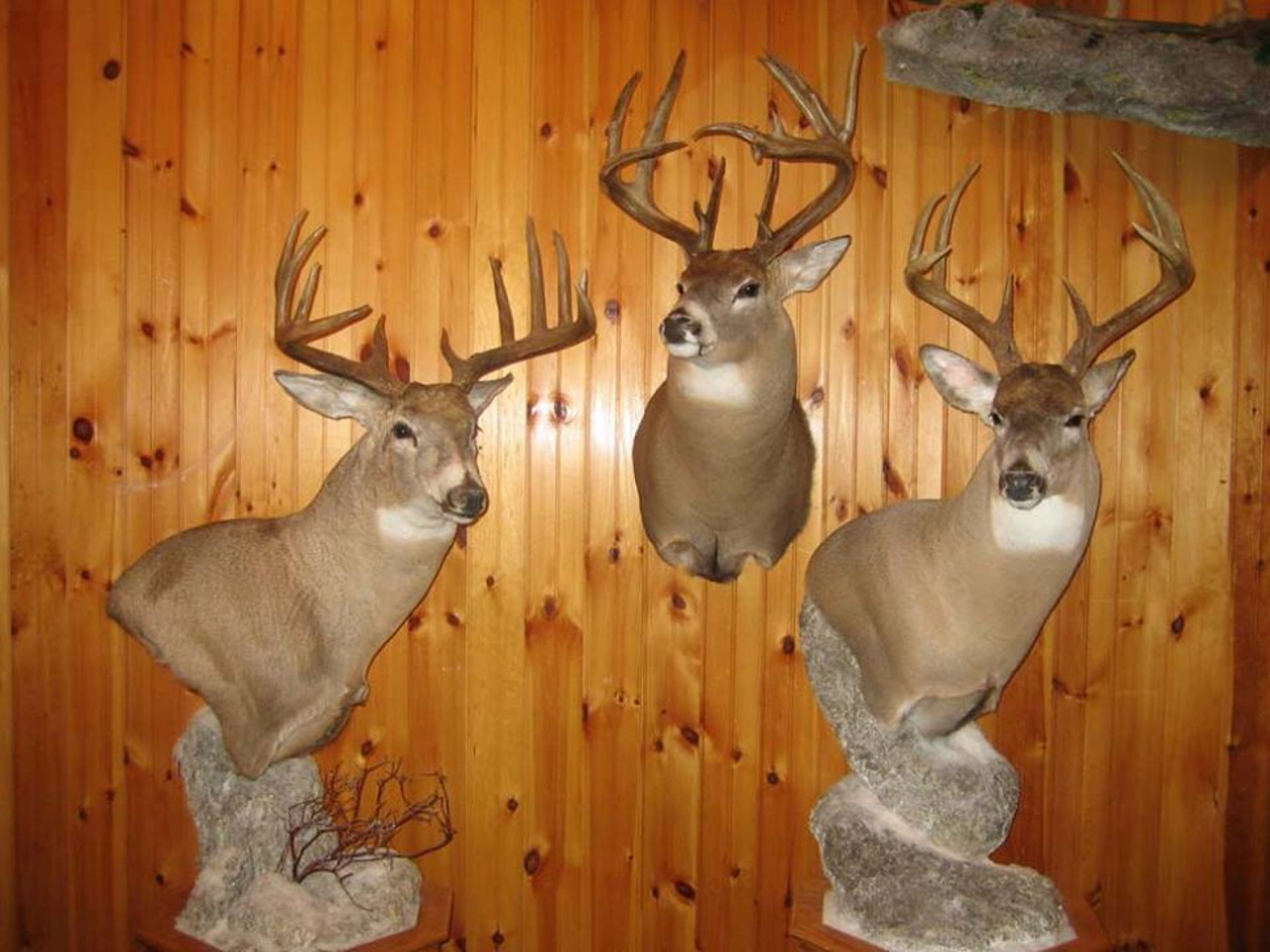 Unadilla Store Michigan