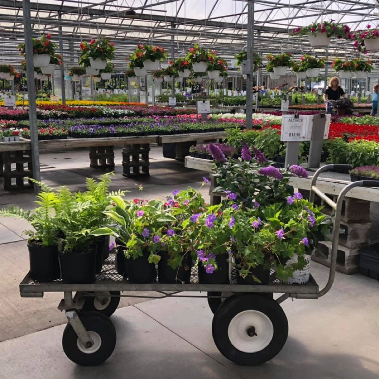 Wojo's Greenhouse Michigan