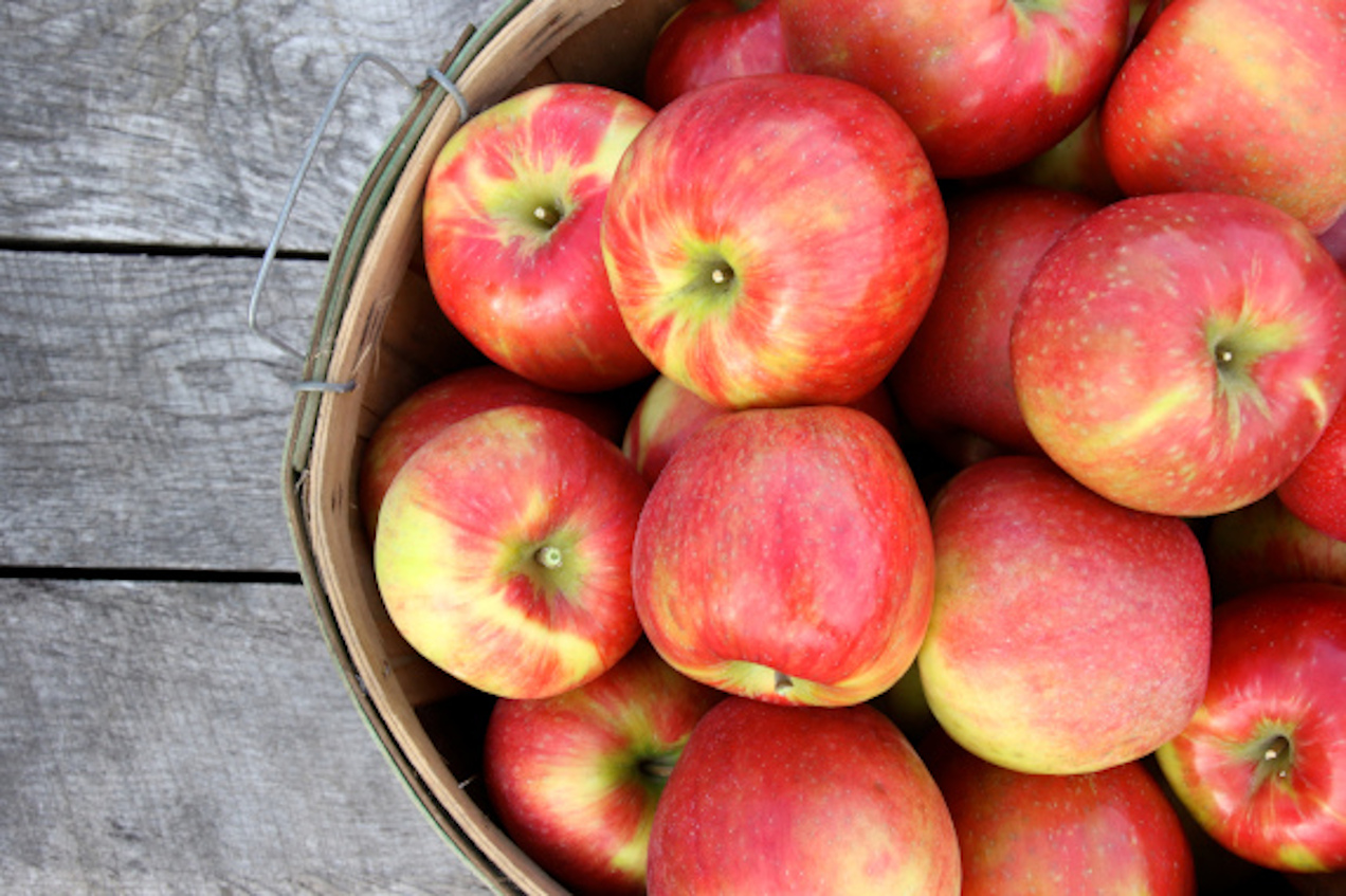 St. Joseph Farmers Market Michigan