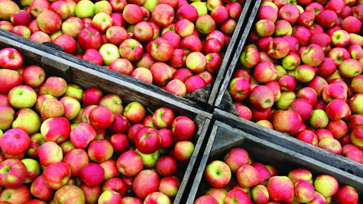 Produce Station Michigan