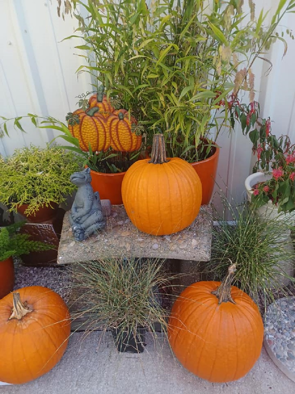 Crystal Gardens Michigan